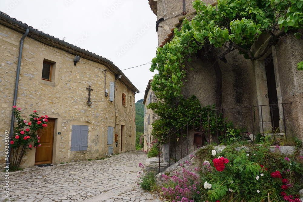 narrow old cobblestone street in medieval village in the south of France with a green climbing vine
