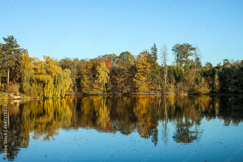 View of beautiful lake and yellow trees on autumn day