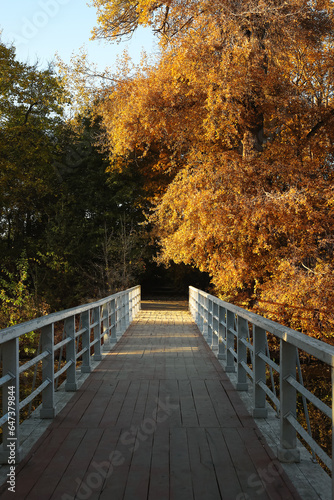 View of beautiful autumn pa...