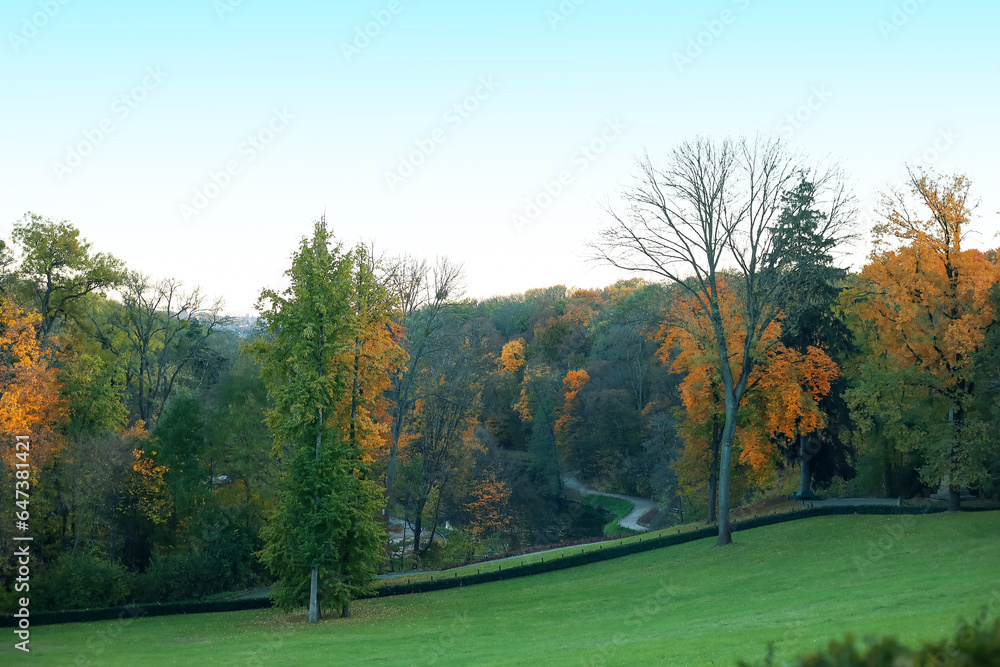 View of beautiful autumn park with trees
