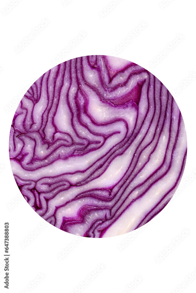Fresh beautiful red cabbage with textured leaves on a dark concrete background Fresh beautiful red cabbage with textured leaves on a dark concrete background