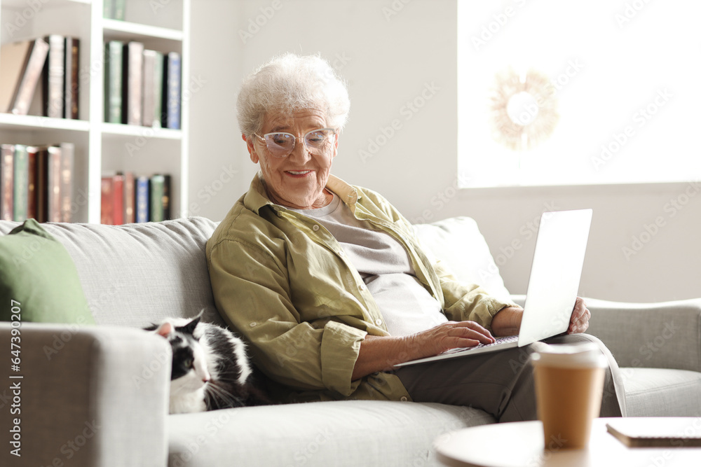Senior woman with cute cat and laptop resting at home Senior woman with cute cat and laptop resting at home