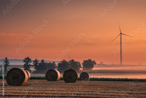 Rural harvest landscape in Polish fields in the Paluki region.