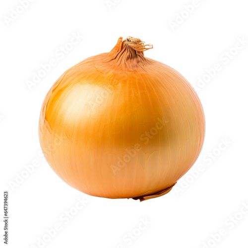 A close-up view of a fresh onion on a clean white background