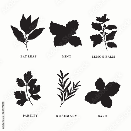 Collection of flat vector herbs and spices