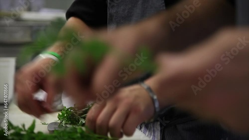 Köche frische Kräuter schneiden / frische Kräuter schneiden / nahe Einstellung / gesunde Ernährung / Kräuter / Küche / 