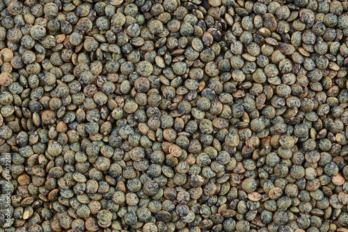 raw french green lentils as a background. Top view. Flat lay