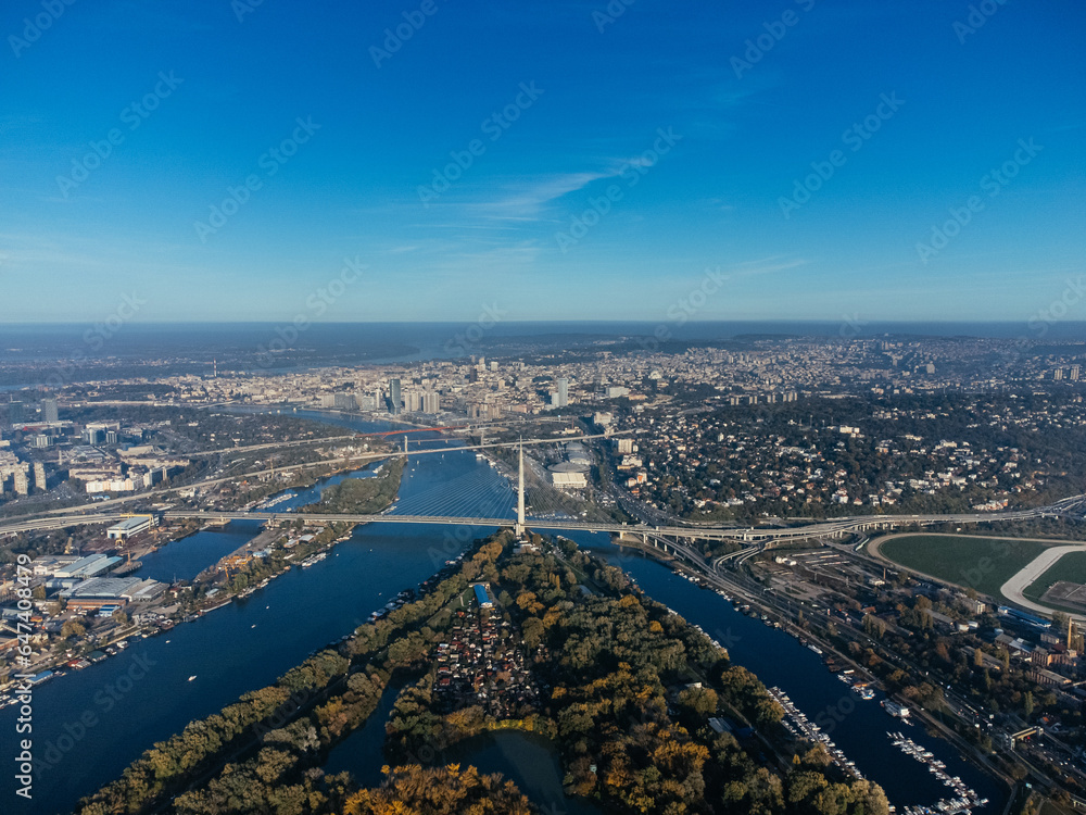Obraz premium Drone view above the open public park and green trees. Europe. 