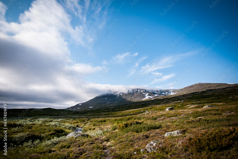 Swedish mountains