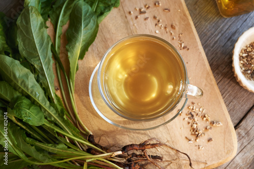 A cup of dandelion root tea, top view © Madeleine Steinbach