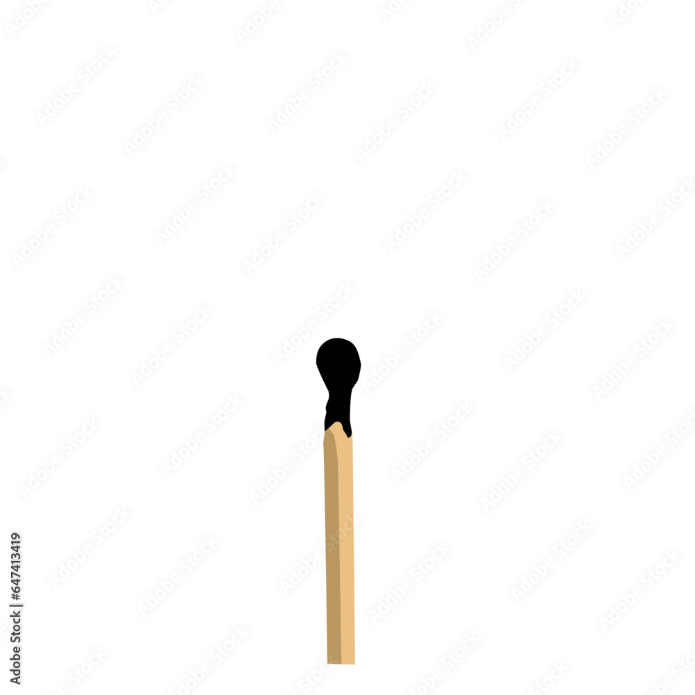 Burnt match, match and burned match Burnt match, match and burned match