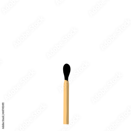 Burnt match, match and burned match