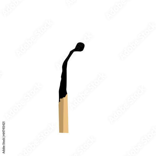 Burnt match, match and burned match
