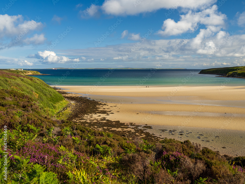 View over Waulkmill Bay, Orkney, Scotland with sandy beach, heather and the waters of Scapa Flow in the distance