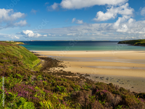 View over Waulkmill Bay  Orkney  Scotland with sandy beach  heather and the waters of Scapa Flow in the distance