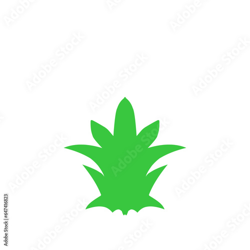 Pinaple Leaf Vector Illustration 