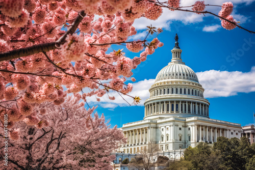 Shot of The United States capital building in Washington DC in spring with Japanese flowers in the frame