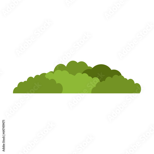 Bush illustration