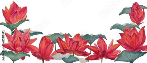Watercolor colorful lotus flowers  wallpaper  background  postcard. Luxurious flowers.