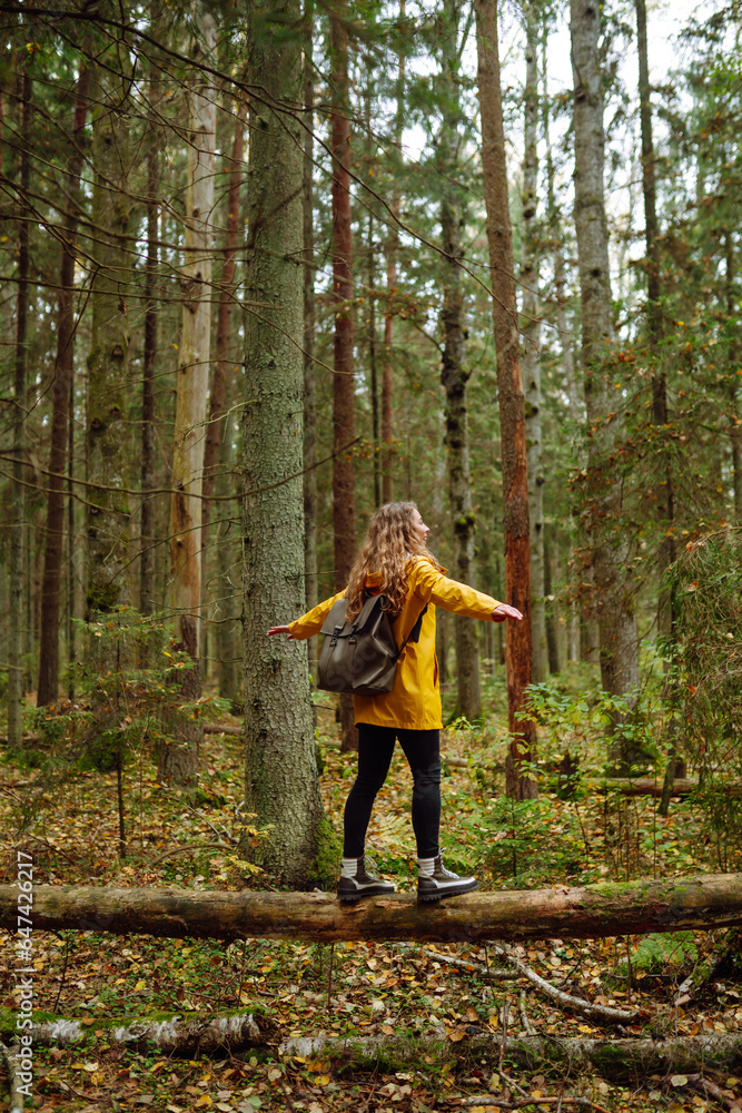 Traveler female with a backpack walks along a wooden footpath in the thicket of a forest. Travel, adventure concept. Wanderlust. Traveler female with a backpack walks along a wooden footpath in the thicket of a forest. Travel, adventure concept. Wanderlust.