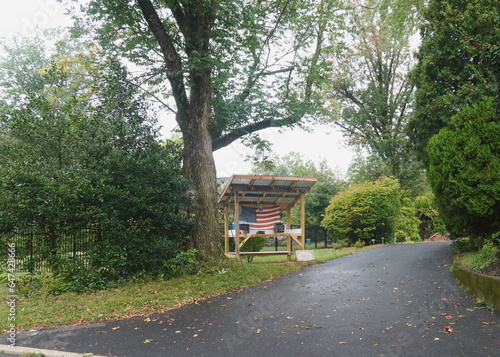 Roadside Egg Stand in Summer with Green Trees and Sky