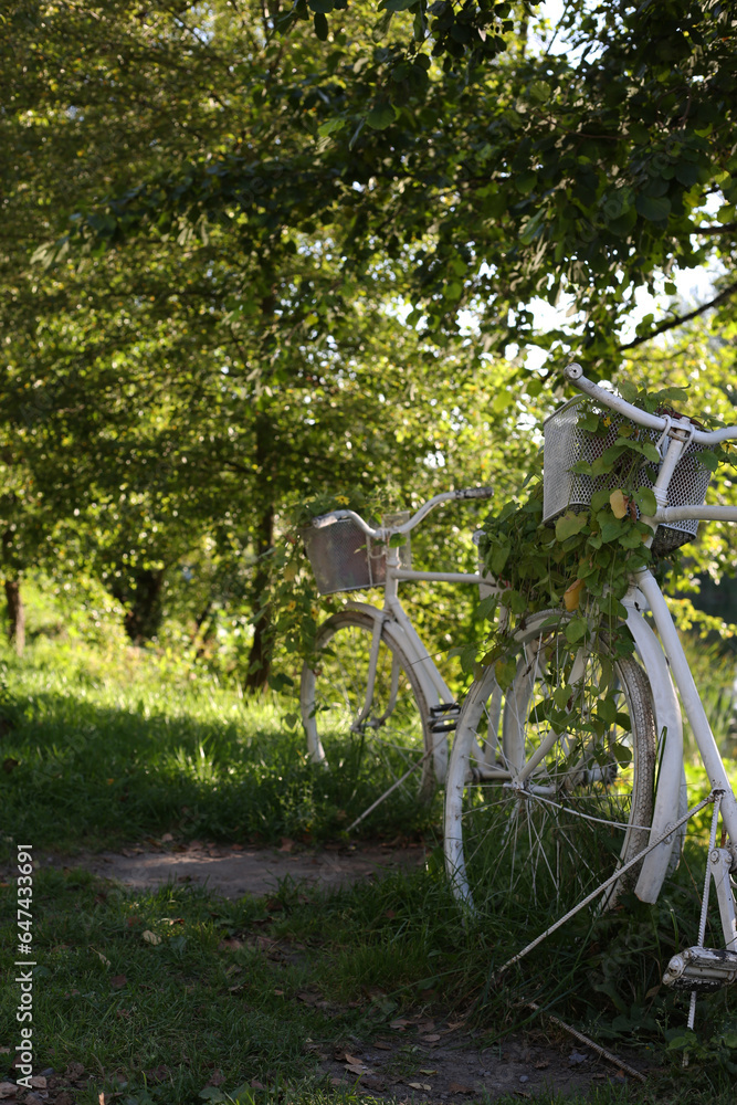 White bicycle is stylized as a flower bed with plants. A decorative bicycle with leaves and flowers stands on the lawn in the park White bicycle is stylized as a flower bed with plants. A decorative bicycle with leaves and flowers stands on the lawn in the park