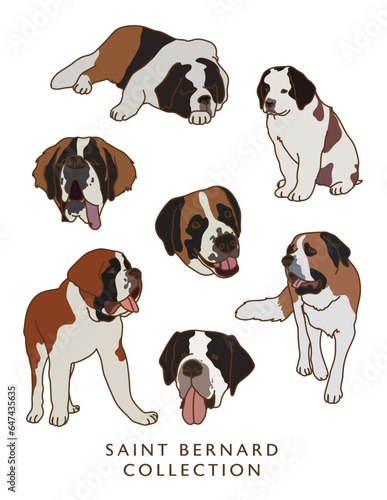 Saint Bernard Illustration Set (Color)