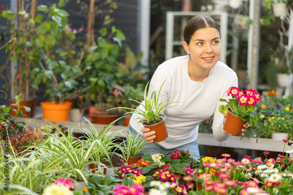 Female gardener tending to potted viola and spider plant in container garden