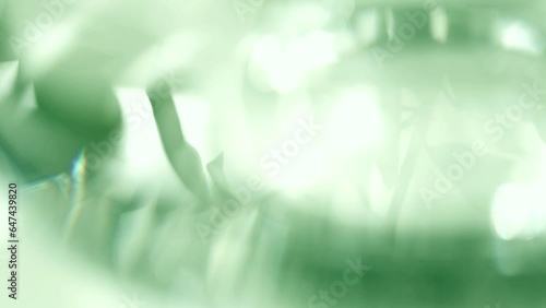 風に揺れる植物の葉　シルエット　木漏れ日　ナチュラルなグリーンの背景素材
