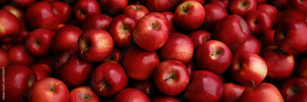 Red apples at local farmer market, banner Red apples at local farmer market, banner