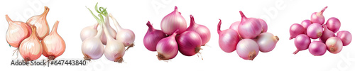 Png Set Tender onions on transparent background