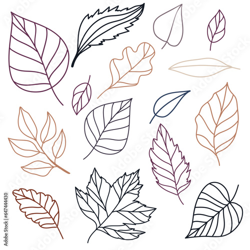 Set of vector outline illustration of leaves of maple, oak, birch in cozy autumn colors. objects for scrapbooking, textile or book covers, wallpapers, design, graphic art, printing, hobby, invitation.