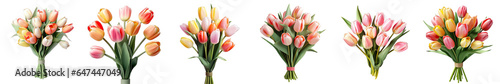 Png Set Tulip bouquet on a transparent background with path isolation