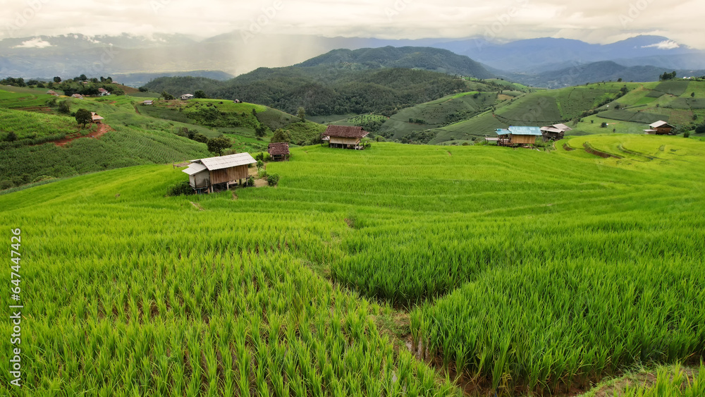 Aerial view of terrace rice farm or green rice terrace field at Mae-Jam Village, Chiang Mai Province, Thailand