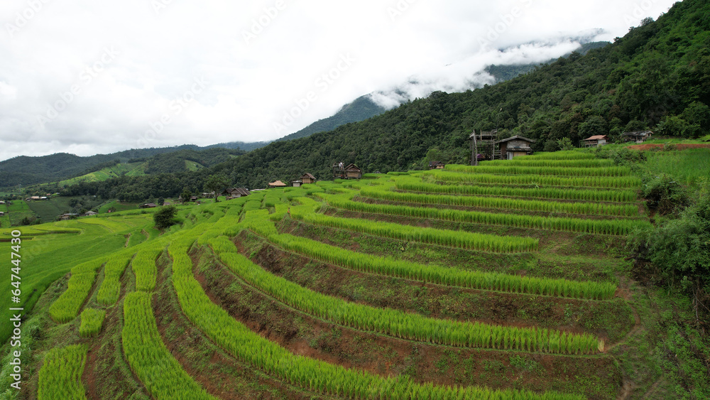 Aerial view of terrace rice farm or green rice terrace field at Mae-Jam Village, Chiang Mai Province, Thailand