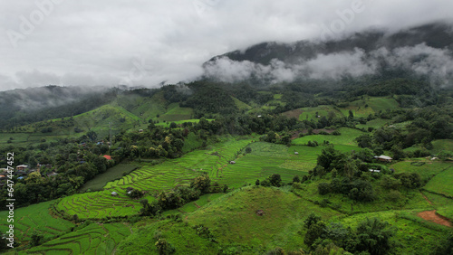 Aerial view of green field in valley, natural view