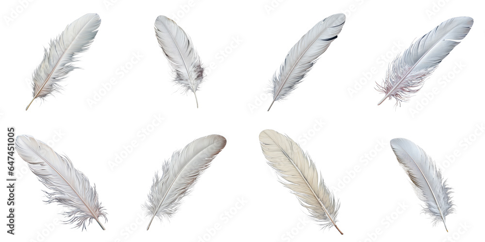 Png Set White feather transparent background Png Set White feather transparent background