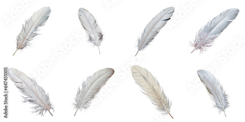 Png Set White feather transparent background