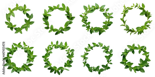 Png Set Round fresh mint leaf frame seen from above on a transparent background
