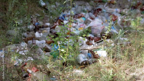 Dump with Discarded Plastic Bottles in Forest in Nature. Rotting garbage, plastic bags, and bottles in pit. Environmental pollution. Grass, sunlight. Ecological catastrophe.