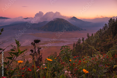 Taman Nasional Bromo Tengger Semeru photo