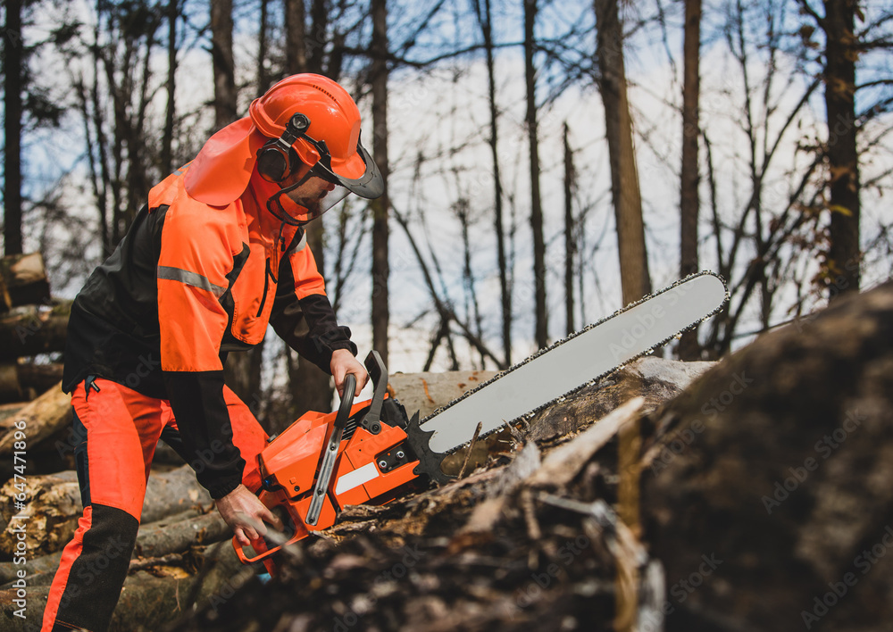 Motosserra
Chainsaw Motosserra
Chainsaw