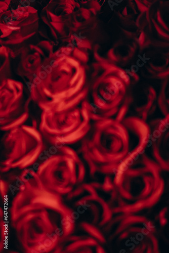 Fototapeta Naklejka Na Ścianę i Meble -  A bouquet of red roses