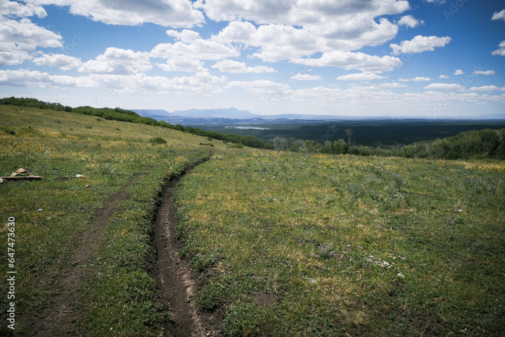 Trail on top of grassy green meadow overlooking lake in Mancos State Park in southern Colorado in summer