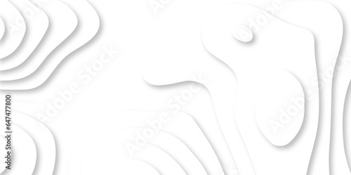 	
Abstract white papercutbackground 3d realistic design use for ads banner and advertising print design vector. 3d topography relief. Vector topographic illustration.	
 photo