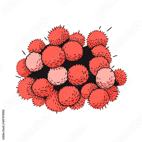 Pom poms vector icon in minimalistic, black and red line work, japan web