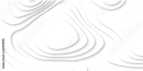 Seamless abstract white papercutbackground 3d realistic design use for ads banner and advertising print design vector. 3d topography relief. Vector topographic illustration. photo