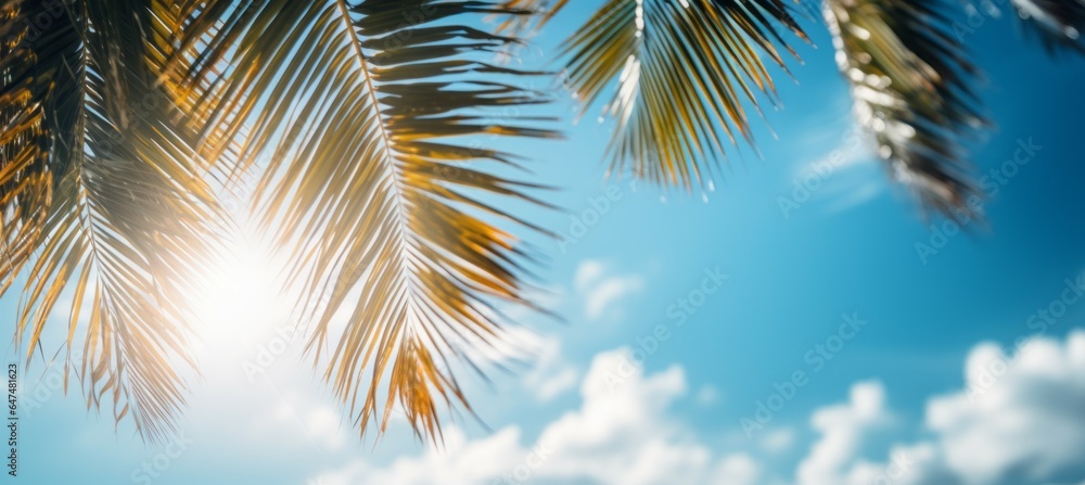 Palm leaves and sunny sky background. Generative AI technology.