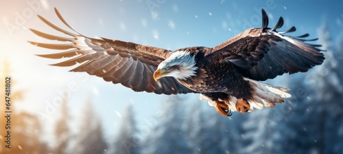 Bald eagle flying at winter. Generative AI technology. © Hero Design