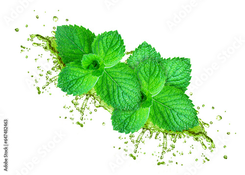 mint juice splash isolated on white background